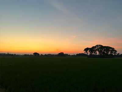 農業農村部緊急部署蔬菜抗澇減災和秋冬...